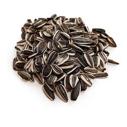 تخمه خام فله